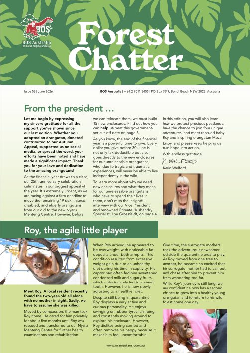 Forest Chatter June 2026